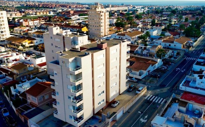 Resale - Apartment -
Torrevieja - Costa Blanca