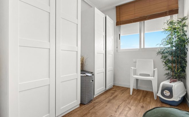 Resale - Apartment -
Torrevieja - Costa Blanca