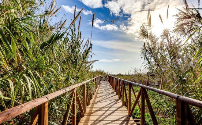 Resale - Villa -
San Fulgencio - La Marina