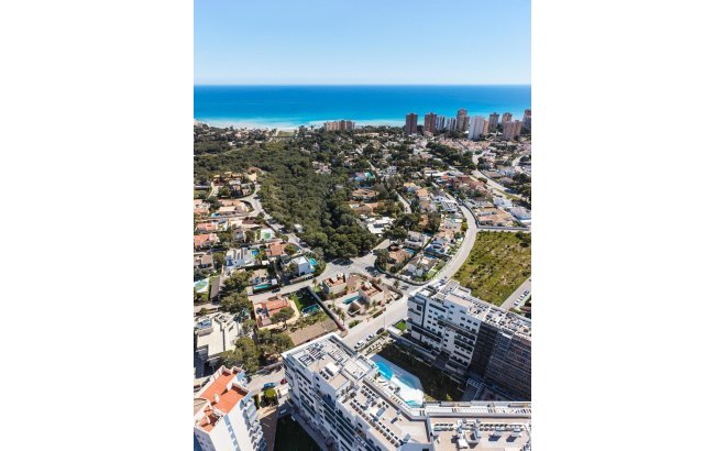 New Build - Villa -
Orihuela Costa - Dehesa de campoamor