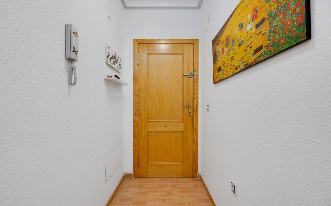 Resale - Apartment -
Torrevieja - Costa Blanca