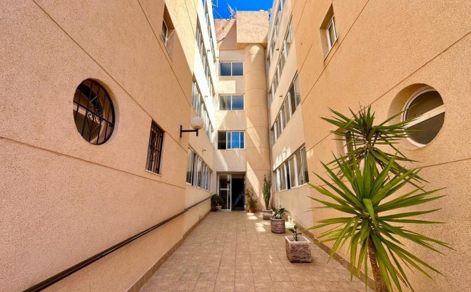 Resale - Apartment -
Torrevieja - Costa Blanca