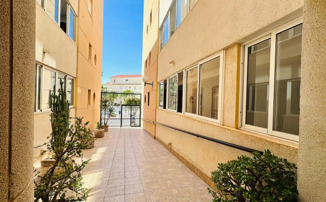 Resale - Apartment -
Torrevieja - Costa Blanca