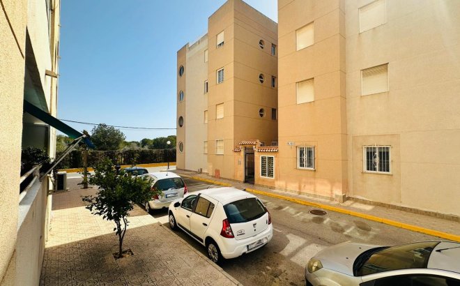 Resale - Apartment -
Torrevieja - Costa Blanca