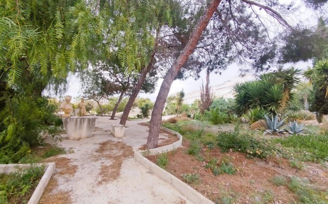 Resale - Villa -
San Miguel de Salinas - Inland