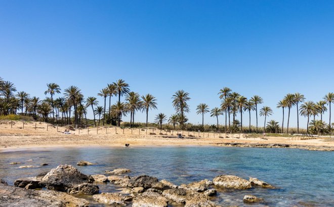 Herverkoop - Bungalow -
Torrevieja - Costa Blanca