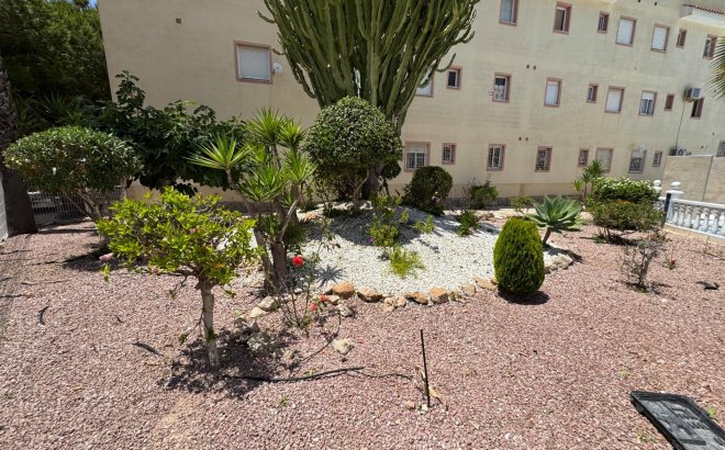 Herverkoop - Bungalow -
Torrevieja - La Siesta - El Salado - Torreta