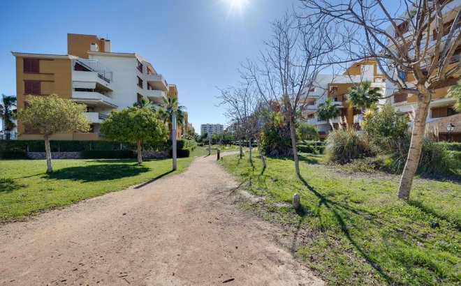 Revente - Appartement -
Torrevieja - Punta Prima
