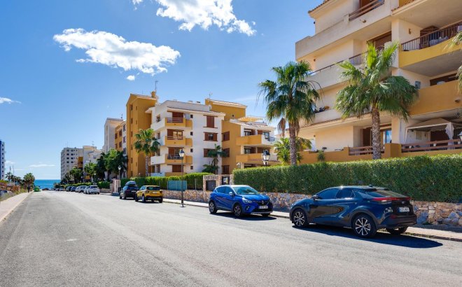Revente - Appartement -
Torrevieja - Punta Prima