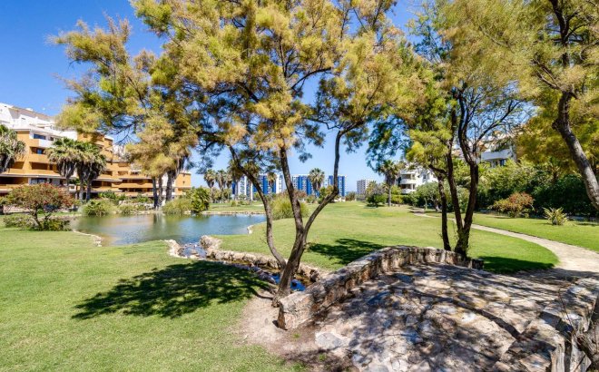 Revente - Appartement -
Torrevieja - Punta Prima