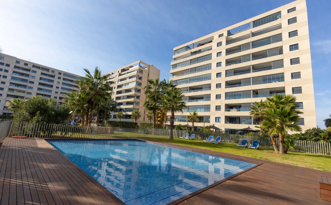 Resale - Penthouse -
Torrevieja - Costa Blanca
