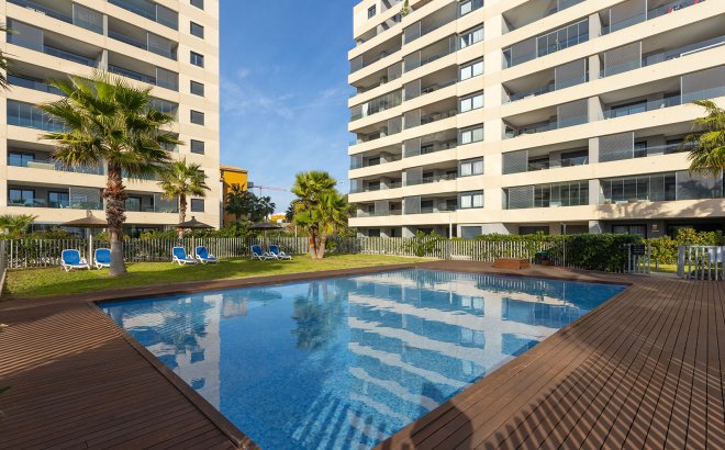 Resale - Penthouse -
Torrevieja - Costa Blanca