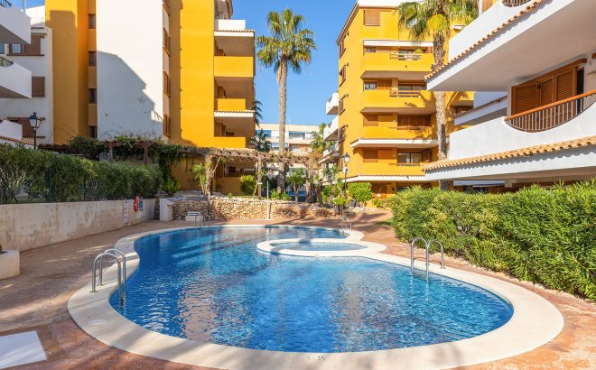 Revente - Appartement -
Torrevieja - Costa Blanca