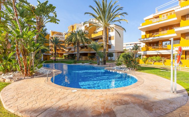Revente - Appartement -
Torrevieja - Costa Blanca