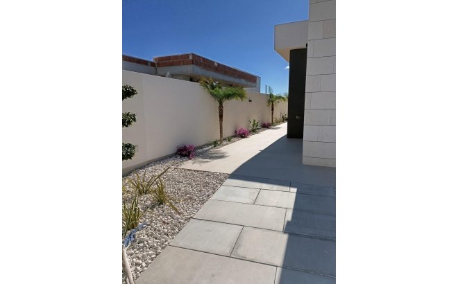 New Build - Villa -
Pilar de la Horadada - Lo Romero Golf