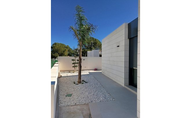 New Build - Villa -
Pilar de la Horadada - Lo Romero Golf