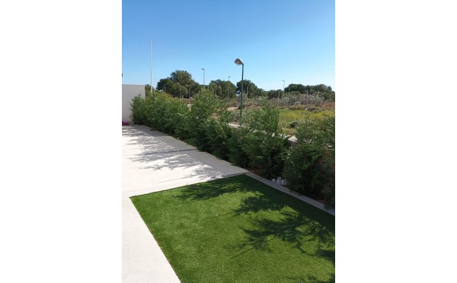 New Build - Villa -
Pilar de la Horadada - Lo Romero Golf