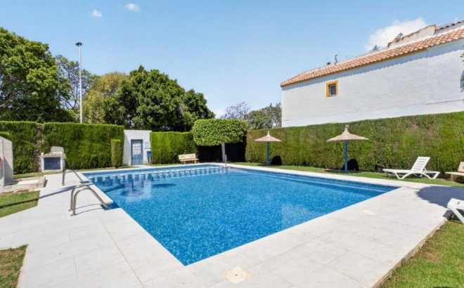 Resale - Apartment Penthouse -
Torrevieja - Jardin del Mar
