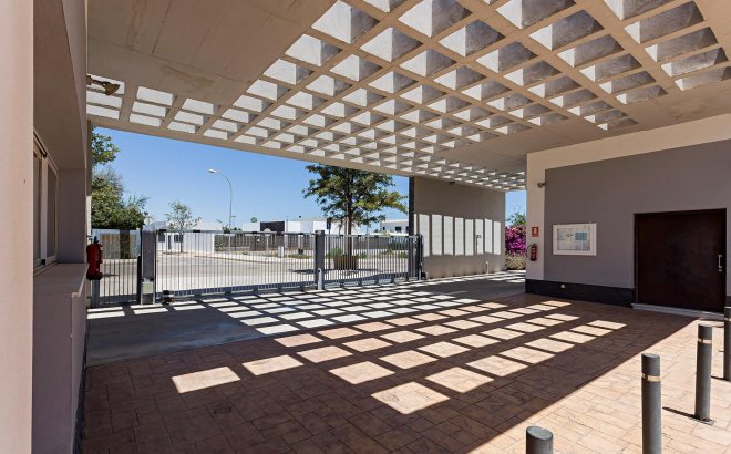 New Build - Apartment -
Vera - El Playazo