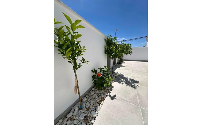 Resale - Bungalow -
Torrevieja - La Siesta - El Salado - Torreta