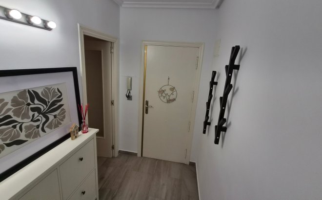 Resale - Apartment -
Torrevieja - Costa Blanca