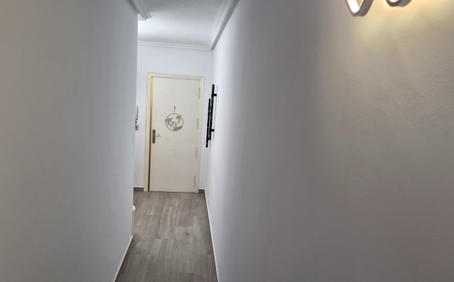 Resale - Apartment -
Torrevieja - Costa Blanca