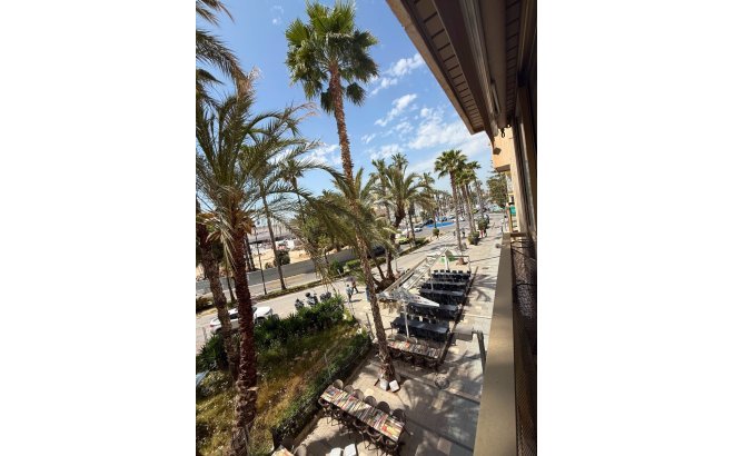 Resale - Apartment -
Torrevieja - Costa Blanca