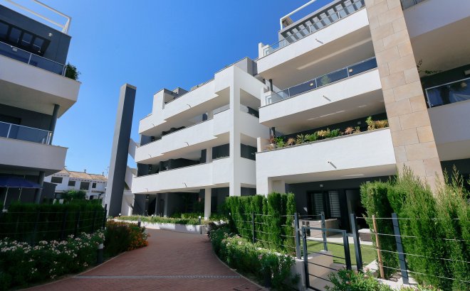 Resale - Apartment -
Playa Flamenca - Costa Blanca