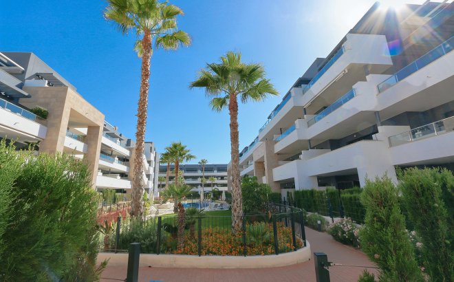Resale - Apartment -
Playa Flamenca - Costa Blanca