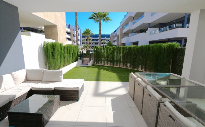 Resale - Apartment -
Playa Flamenca - Costa Blanca