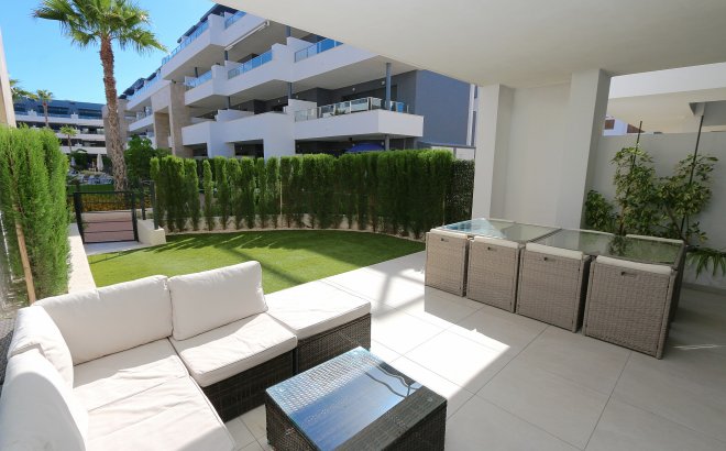 Resale - Apartment -
Playa Flamenca - Costa Blanca