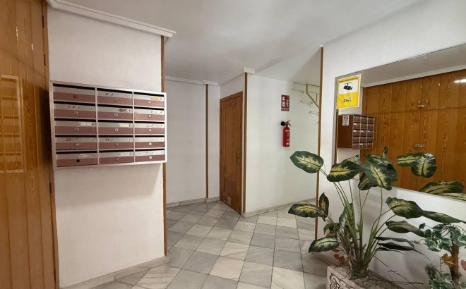 Resale - Apartment -
Torrevieja - Centro