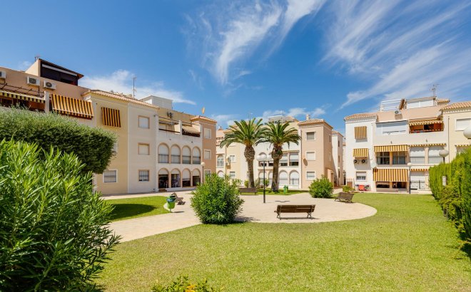 Resale - Bungalow -
Torrevieja - Costa Blanca
