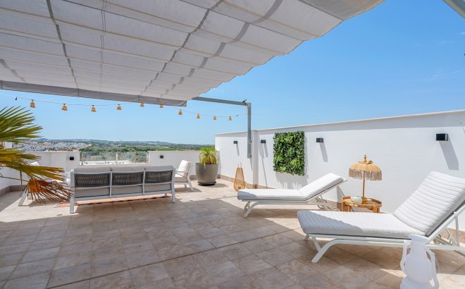 Resale - Apartment -
Torrevieja - Costa Blanca