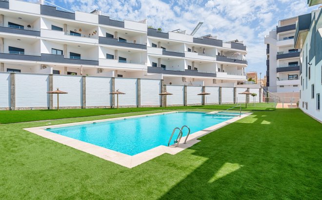 Resale - Apartment -
Torrevieja - Costa Blanca