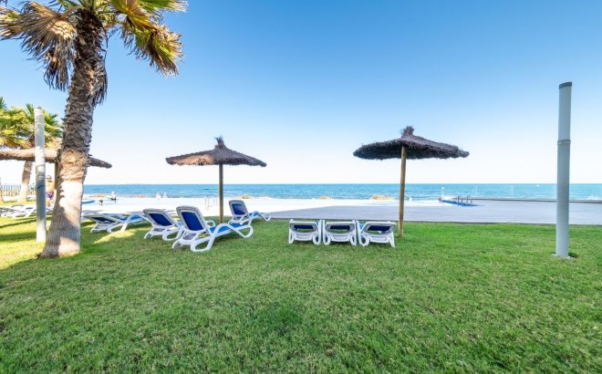 Revente - Appartement -
Torrevieja - Costa Blanca