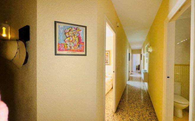 Resale - Apartment -
La Mata - Costa Blanca