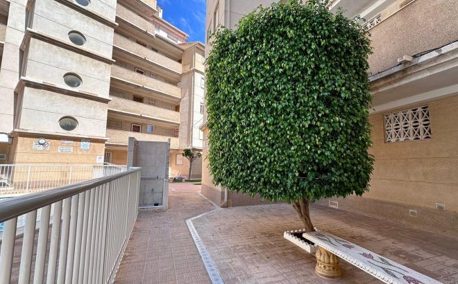 Resale - Apartment -
Torrevieja - Habaneras