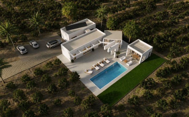 New Build - Villa -
Benejúzar - alta