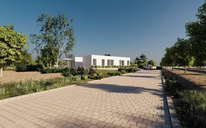 New Build - Villa -
Benejúzar - alta