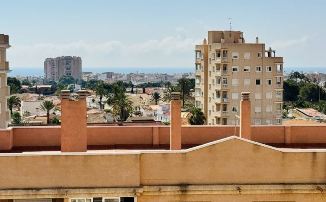Resale - Apartment -
Torrevieja - Costa Blanca