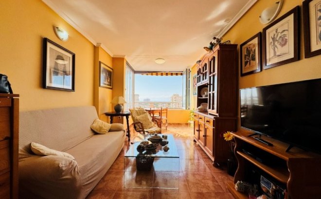 Resale - Apartment -
Torrevieja - Costa Blanca