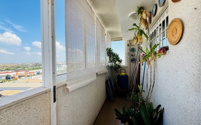 Resale - Apartment -
Torrevieja - Costa Blanca