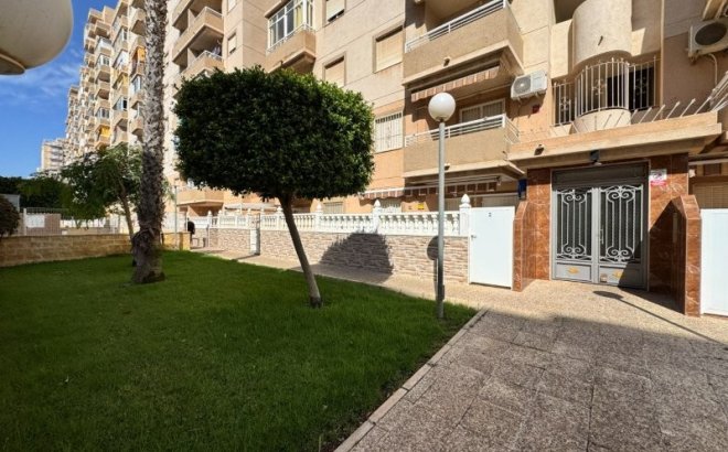 Resale - Apartment -
Torrevieja - Costa Blanca