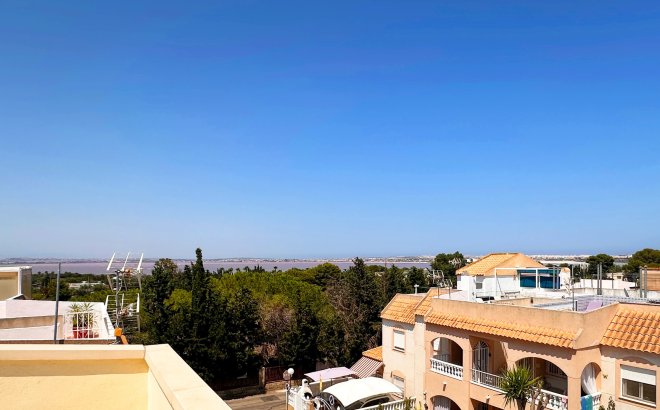 Resale - Bungalow -
Torrevieja - Costa Blanca
