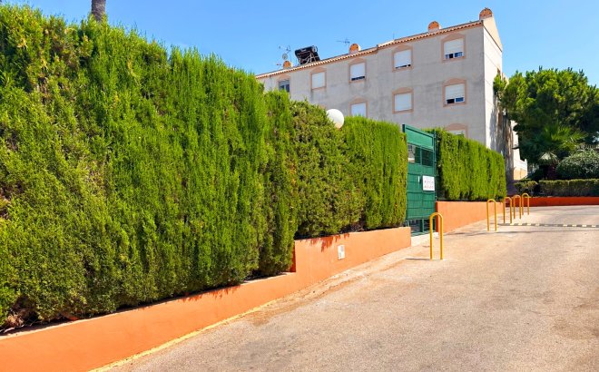 Resale - Bungalow -
Torrevieja - Costa Blanca