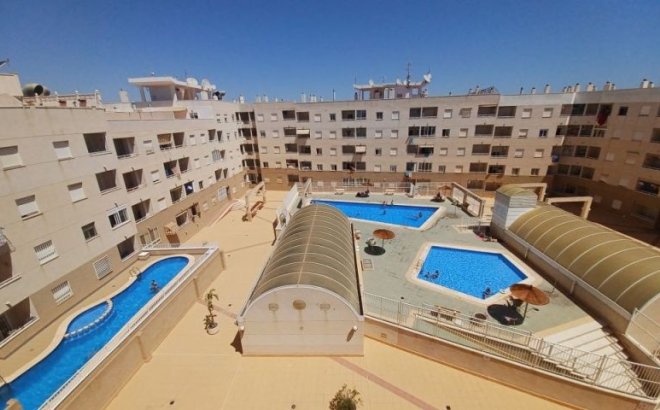 Resale - Apartment -
Torrevieja - Costa Blanca