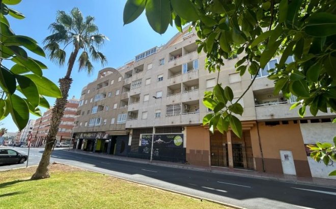 Resale - Apartment -
Torrevieja - Costa Blanca
