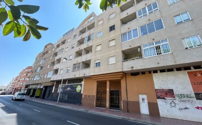 Resale - Apartment -
Torrevieja - Costa Blanca