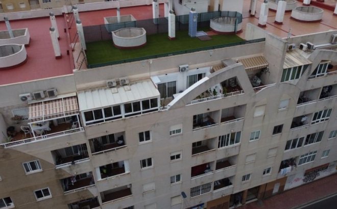 Resale - Apartment -
Torrevieja - Costa Blanca